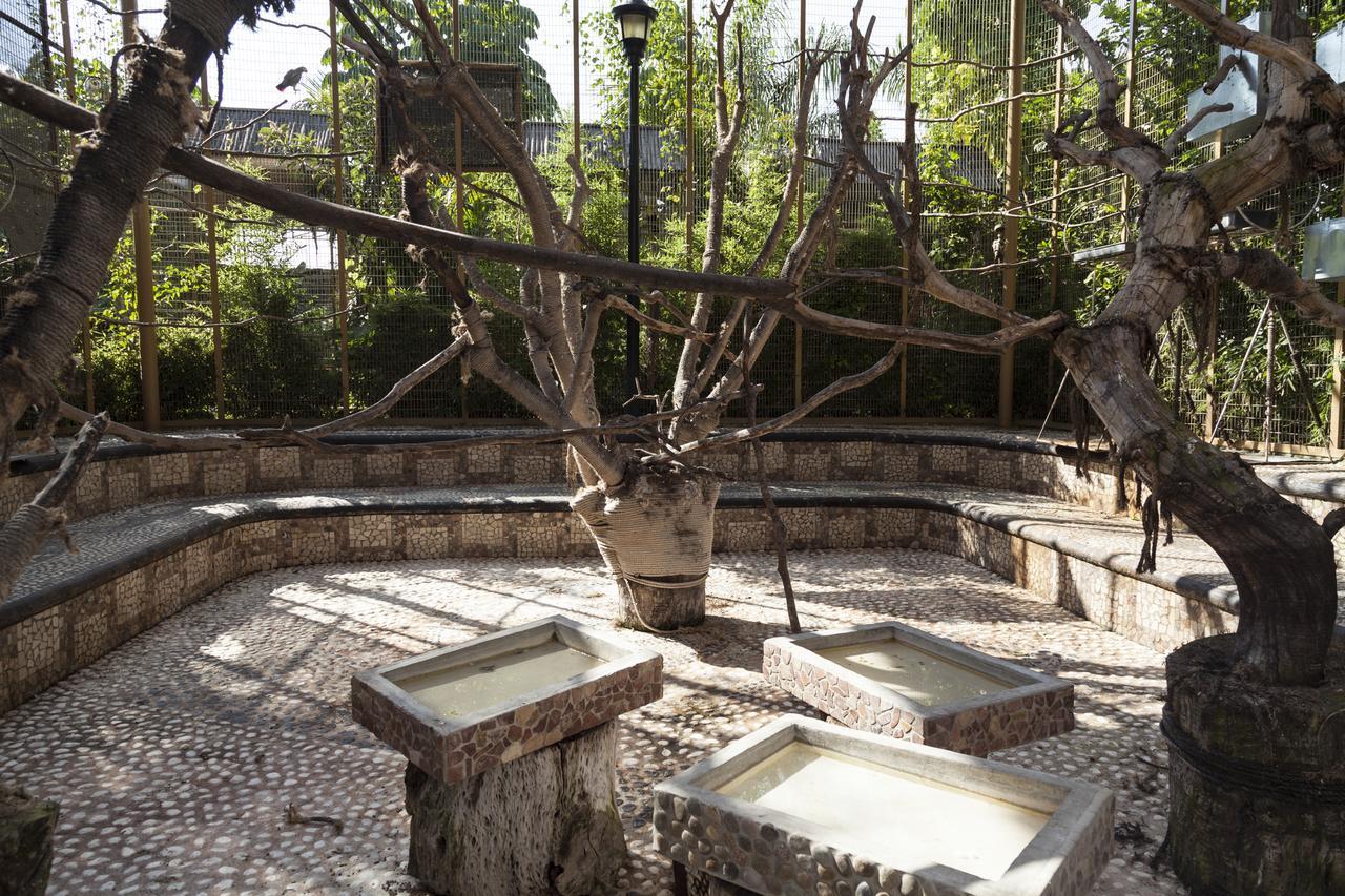 Bungalows Y Temazcal Zoviq Hotel Xochitepec Kültér fotó
