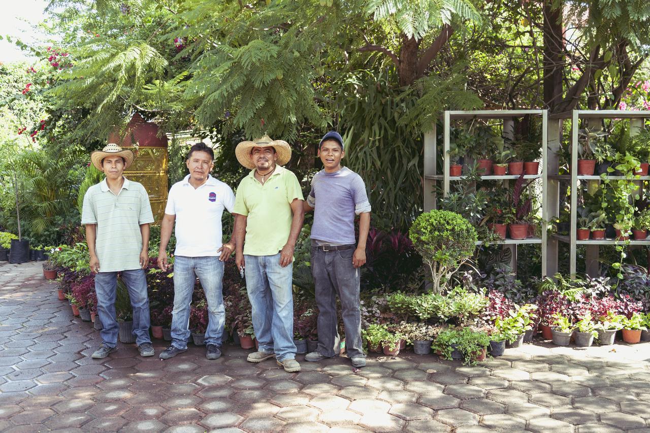 Bungalows Y Temazcal Zoviq Hotel Xochitepec Kültér fotó
